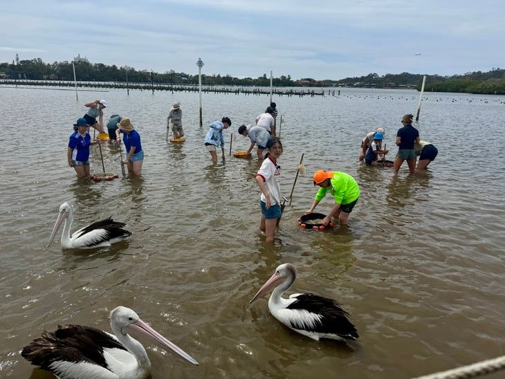 Gold Coast - Ảnh 4.