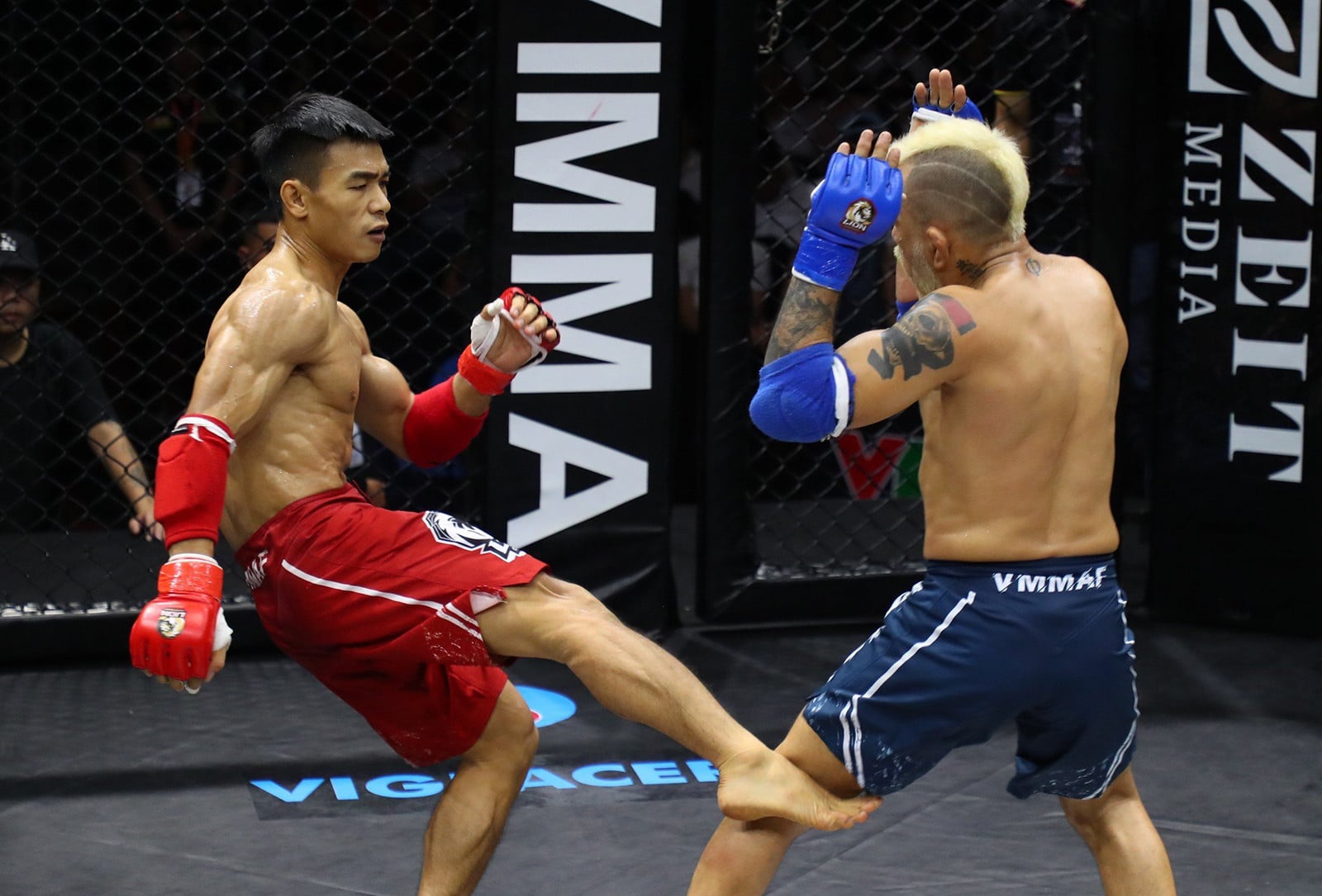 mma vietnam.jpeg