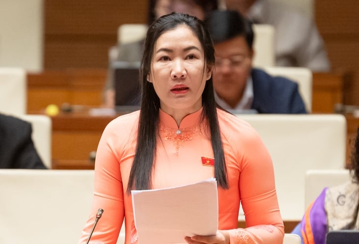 Đại biểu: Lo ngại làn sóng lao động trẻ phải rời bỏ quê hương - Ảnh 1.