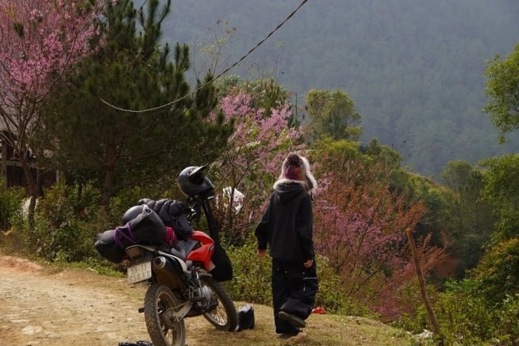 The poetic scenery of Mu Cang Chai in the wild peach blossom season.