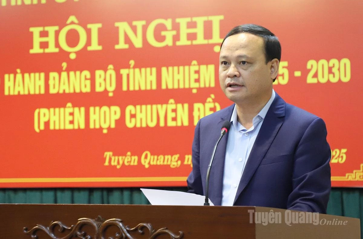 O vice-presidente permanente do Comitê Popular Provincial, Nguyen Manh Tuan, apresentou os relatórios do Comitê do Partido do Comitê Popular Provincial.