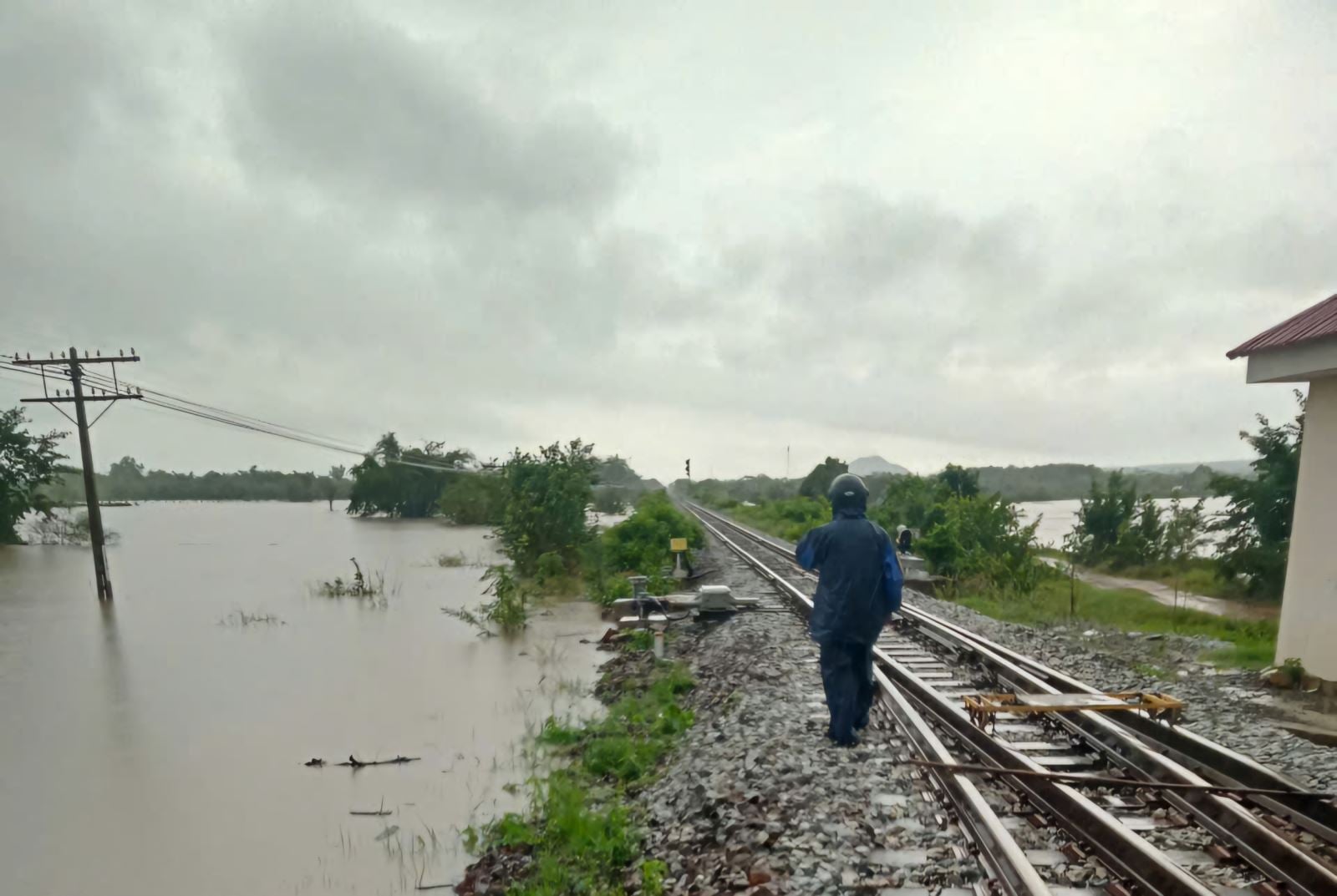 تعليق الصورة