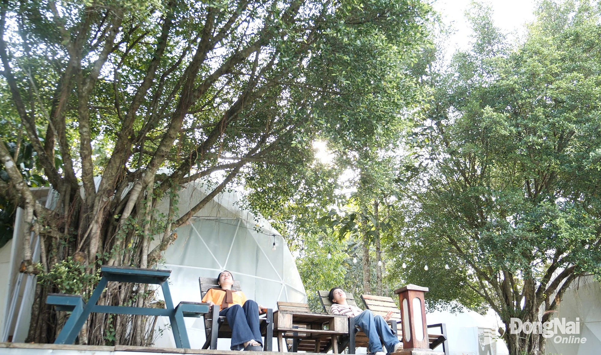 Enjoy the peace of nature at the Ecological - Cultural - Historical Center of the D War Zone. Photo: Tien Dung 