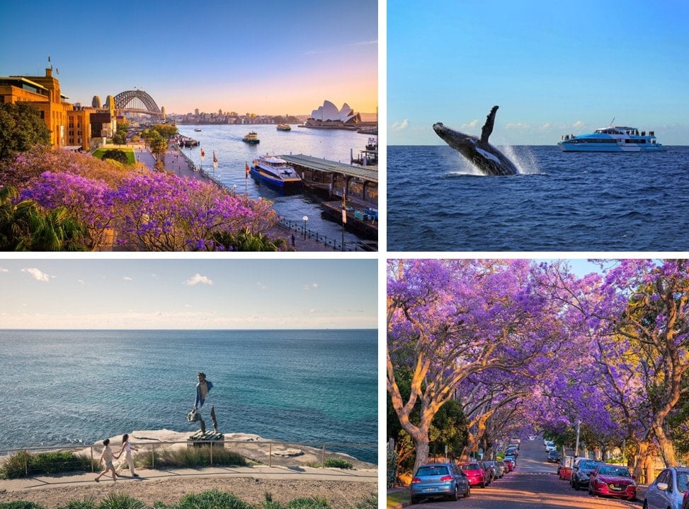 ការដើរតាមឆ្នេរសមុទ្ររវាង Bondi និង Coogee ជាមួយនឹងច្រាំងថ្មចោទដ៏អស្ចារ្យ។