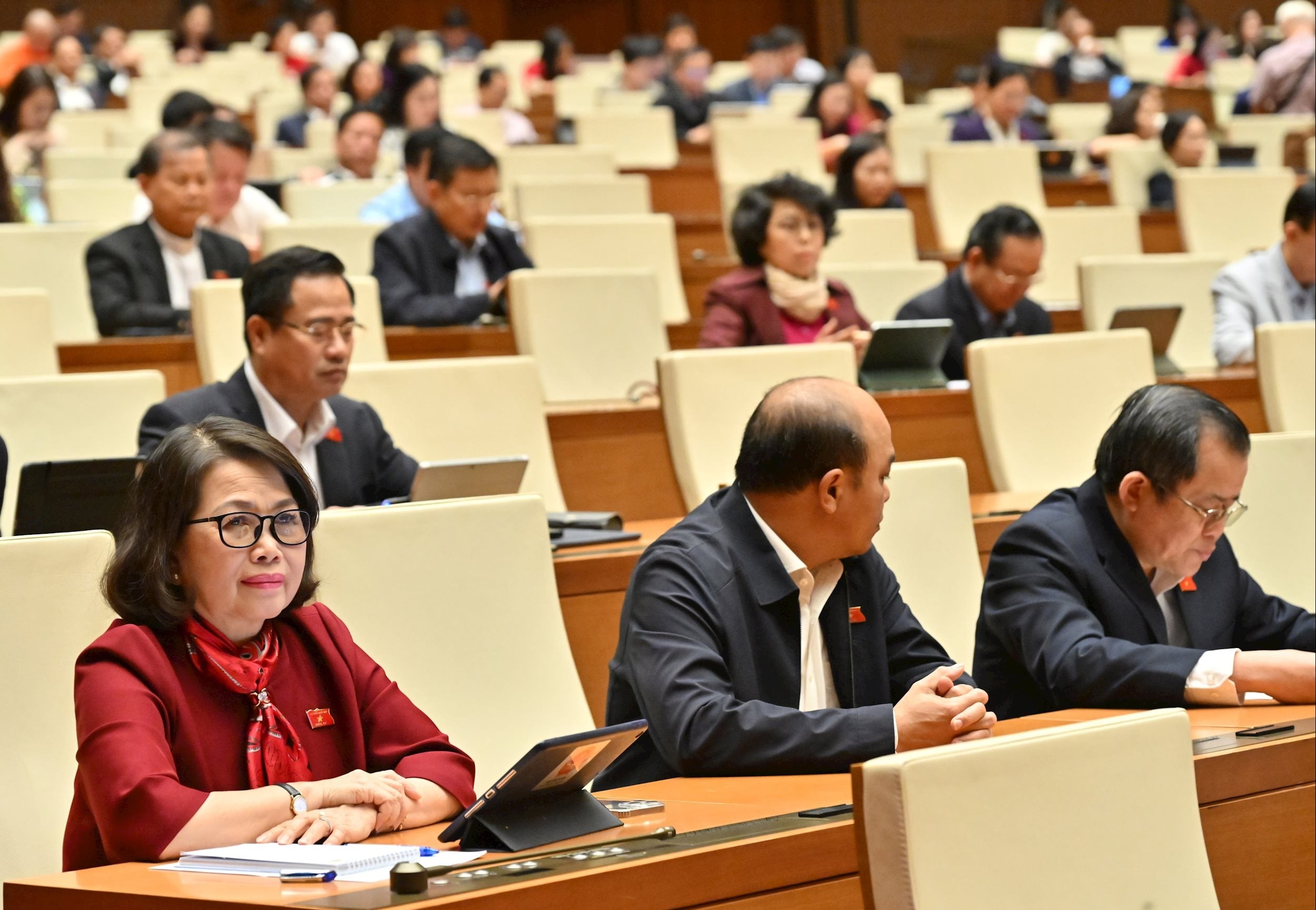 Các đại biểu tại phiên họpVQK_1384