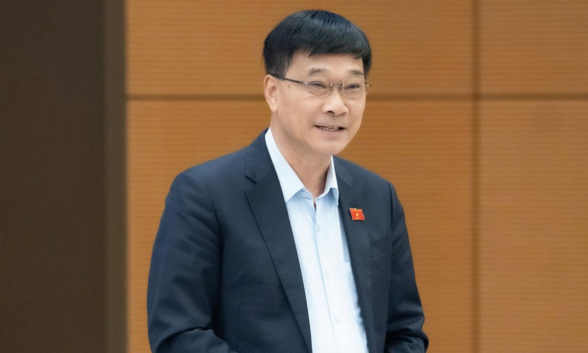 قومی اسمبلی کے وائس چیئرمین وو ہونگ تھانہ۔