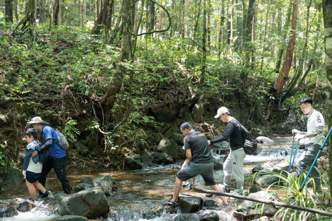 Touristen wandern durch den Wald von Phu Quoc. Foto: Thanh Binh