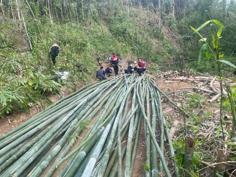 Excited about the price of the stream