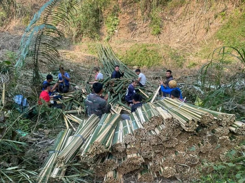 Excited about the price of the stream