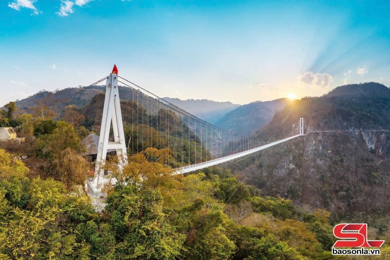 Sơn La: Tháo gỡ khó khăn trong phát triển du lịch khu vực Mộc Châu, Vân Hồ - Ảnh 1.