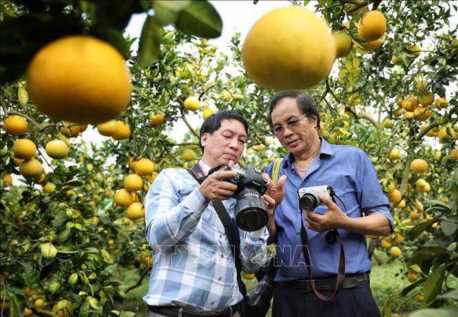 คำบรรยายภาพ