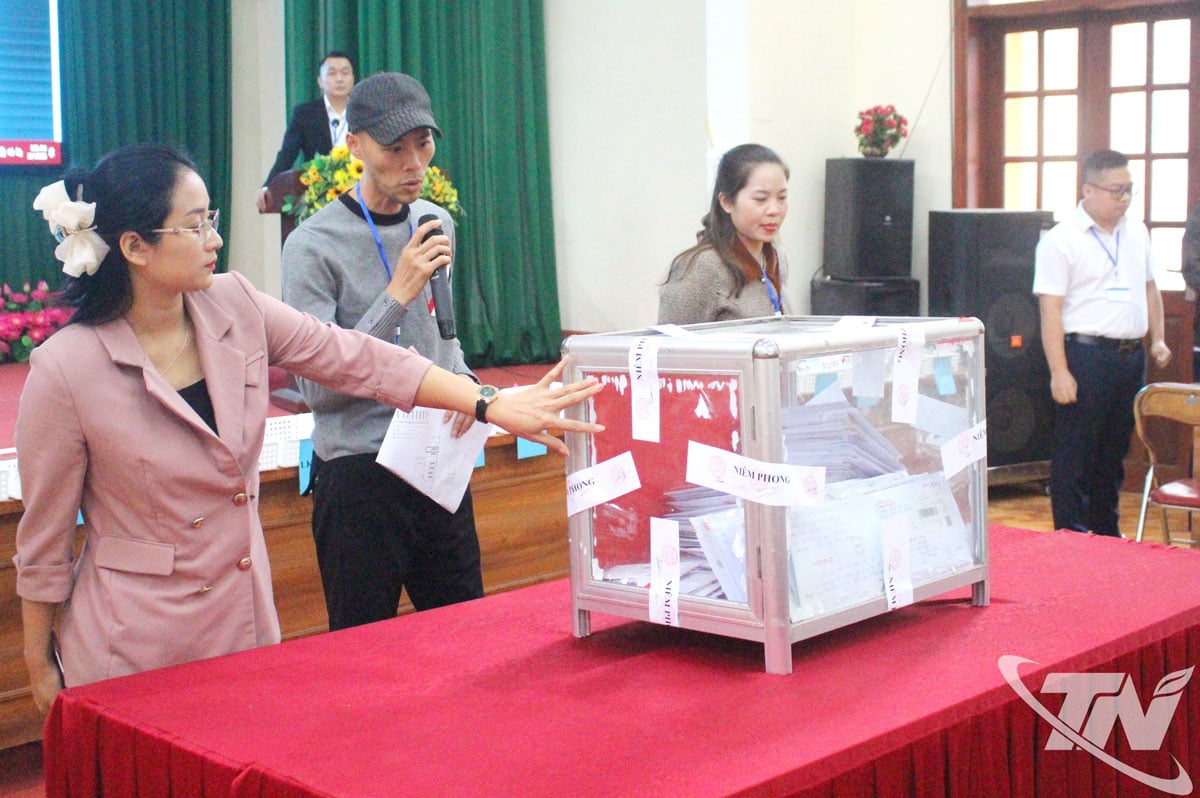 Os licitantes verificam a segurança da urna.