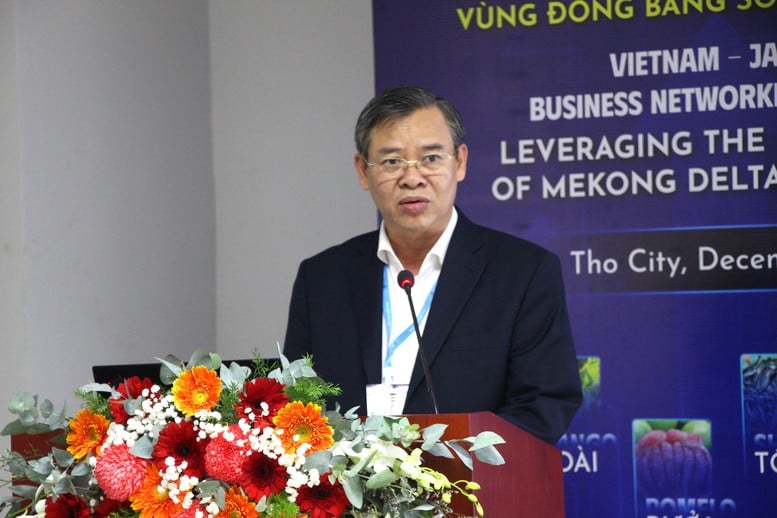 Tăng tốc kết nối Việt Nam-Nhật Bản để khai mở sức mạnh hàng hóa ĐBSCL- Ảnh 1.