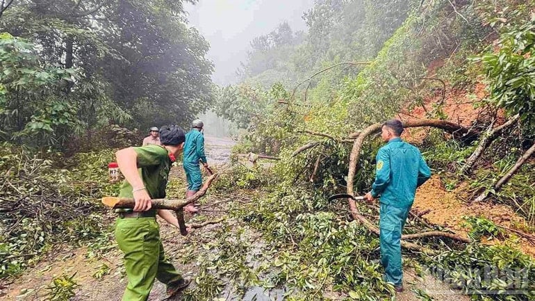 As equipes de resgate estão trabalhando para limpar a área afetada por deslizamentos de terra e árvores caídas no desfiladeiro de Gia Bac. ndo_br_10.jpg