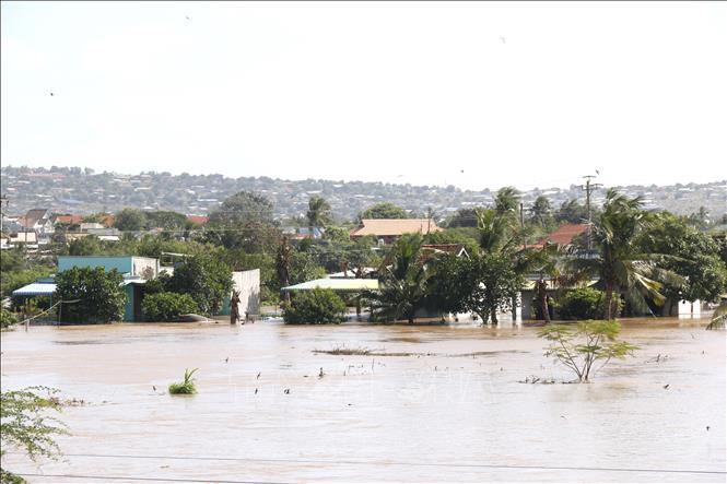 写真のキャプション