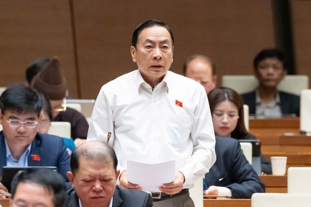 Đại biểu đề xuất nhiều giải pháp đảm bảo sự phát triển kinh tế - xã hội bền vững trong giai đoạn mới- Ảnh 1.