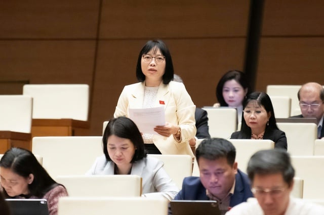 Đại biểu đề xuất nhiều giải pháp đảm bảo sự phát triển kinh tế - xã hội bền vững trong giai đoạn mới- Ảnh 3.