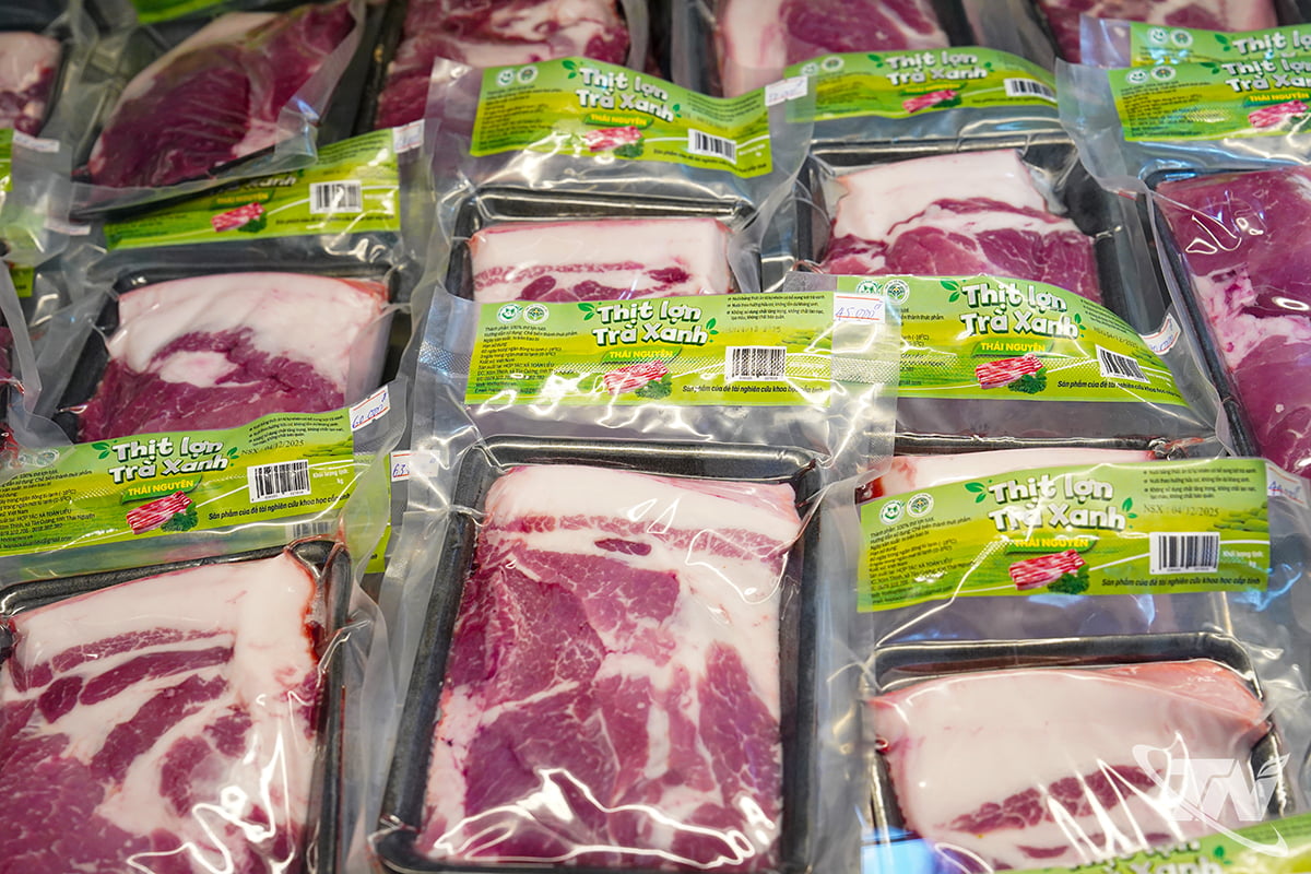 Produk Teh Hijau Babi – Intipati Thai Nguyen