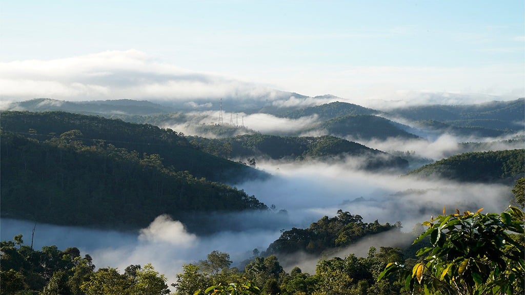 Cá nục kho măng ở Kon Tum: Cuộc gặp gỡ giữa núi đại ngàn và hơi thở biển khơi - Ảnh 1.
