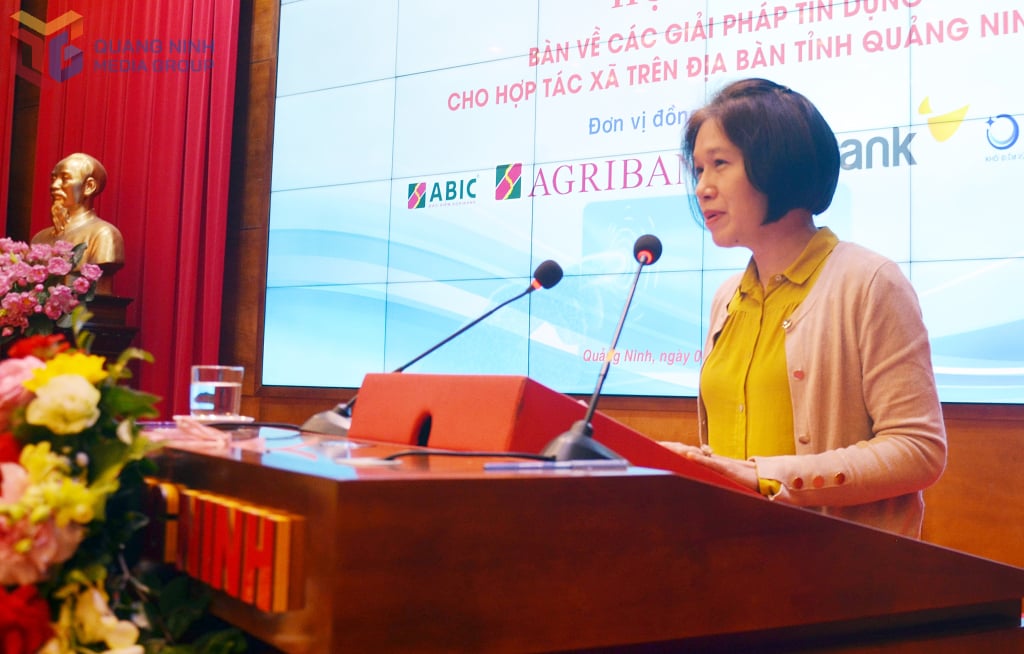 Phó Chủ tịch Liên minh HTX Việt Nam Nguyễn Thị Hoài Linh phát biểu chỉ đạo tại hội nghị.