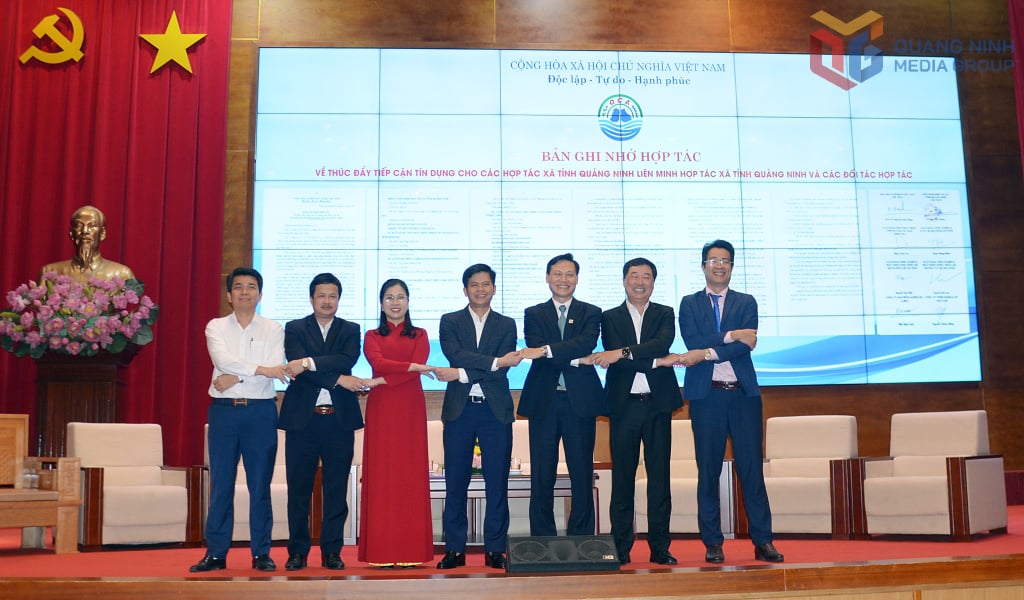 Liên minh HTX tỉnh đã ký kết bản ghi nhớ hợp tác về thúc đẩy tiếp cận tín dụng cho các HTX tỉnh Quảng Ninh với các đối tác hợp tác