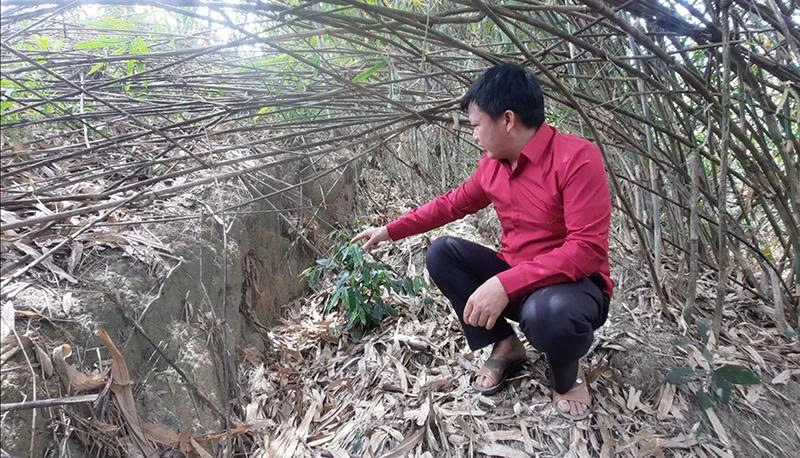 ការអនុវត្តដំបូងនៃតំបន់តាំងទីលំនៅក្នុងឃុំទ្រុងលី