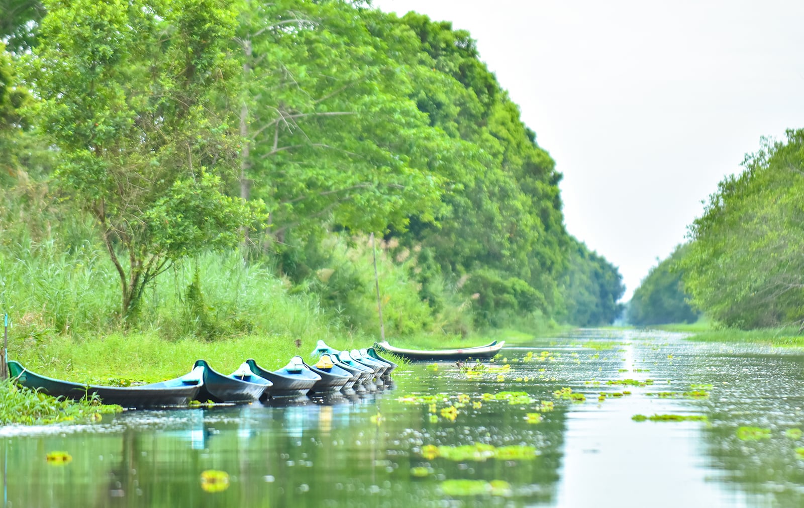 ការធ្វើអាជីវកម្មទេសចរណ៍ U Minh Thuong សមស្របនឹងសក្តានុពលរបស់ខ្លួន។