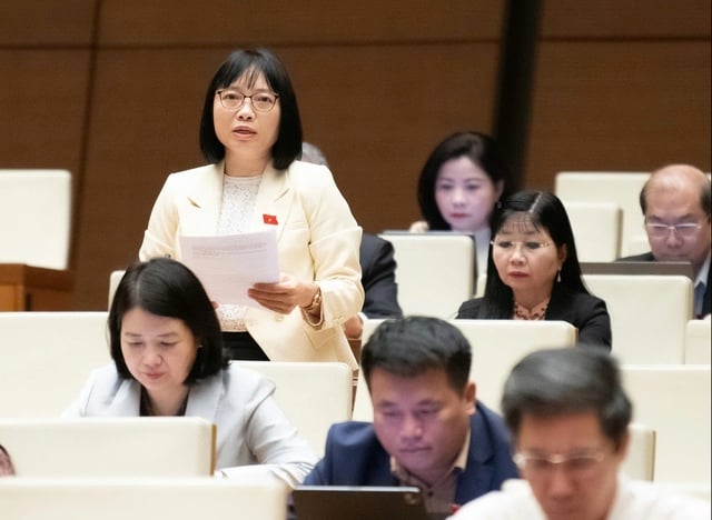 Thi lớp 10 'áp lực nặng nề', học sinh bơ phờ, đờ đẫn, thậm chí tuyệt vọng - Ảnh 2.