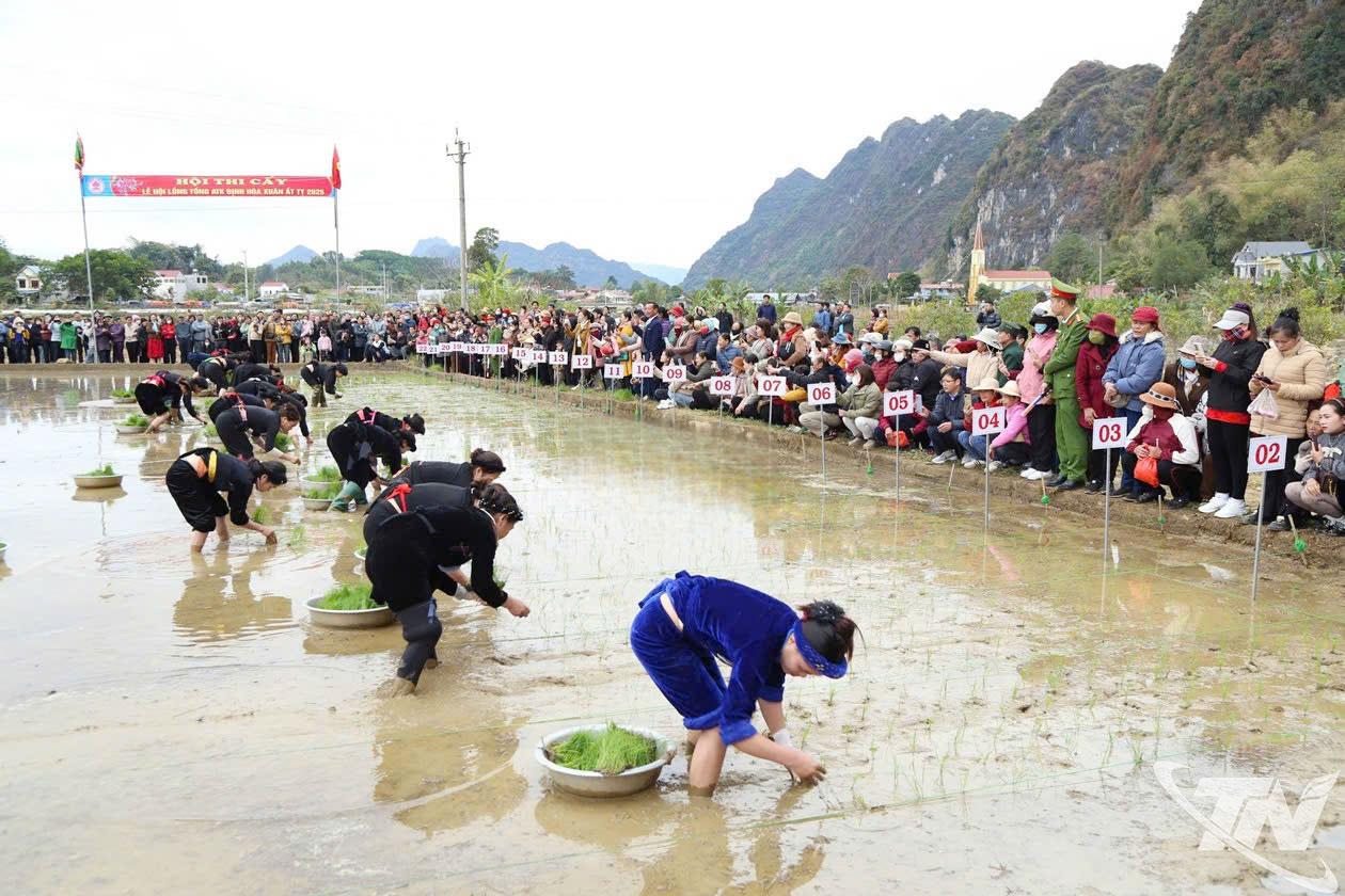 ATK Dinh Hoa فیسٹیول میں لانگ ٹونگ پودے لگانے کا مقابلہ۔