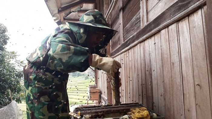 Βιώσιμη γεωργική ανάπτυξη – το κλειδί για τη μείωση της φτώχειας στην κοινότητα Muong Cha 4011-9ac7e102d9273d796436