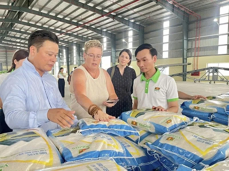 Meningkatkan nilai hasil pertanian daripada pemprosesan yang mendalam