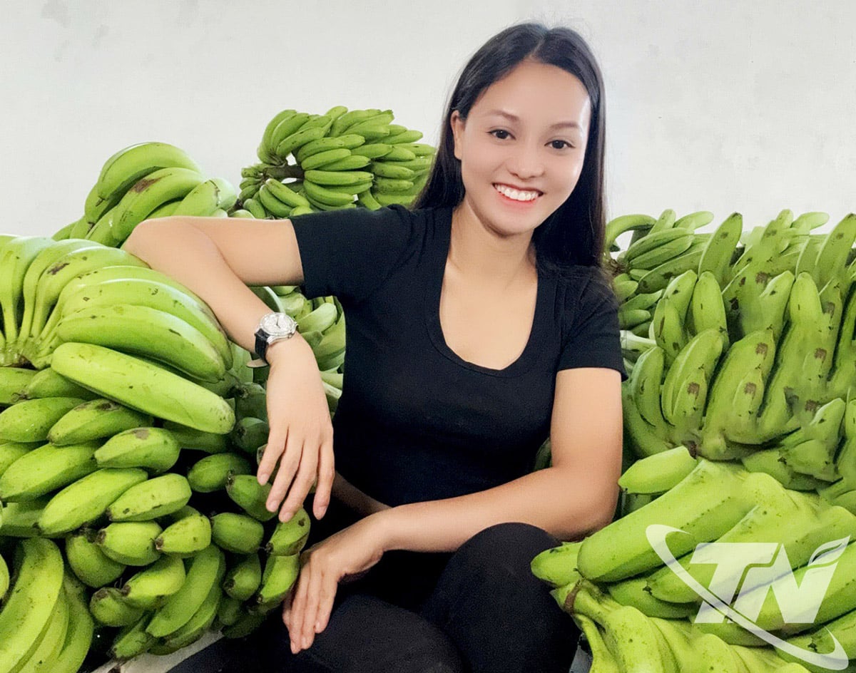 Ibu Nguyen Thi Binh telah berhasil memulai bisnis dari pisang hijau.