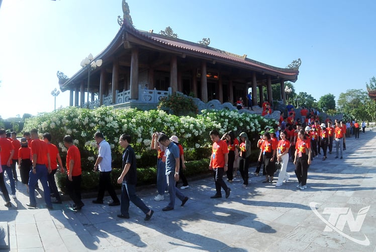 ផ្កាពណ៌សដែលគេហៅថា Silver swallow ត្រូវបានគេដាំយ៉ាងច្រើននៅកន្លែងផ្ទុកវត្ថុបុរាណ។