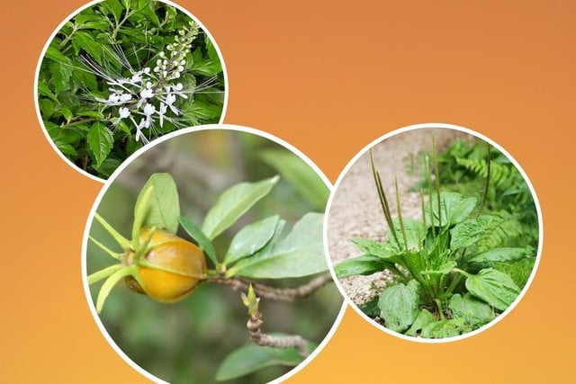 Mắc suy thận chỉ vì 6 thói quen sinh hoạt này!- Ảnh 2.