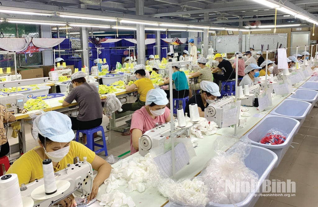 Production line at Master Vina Company Limited (Dong Huong Industrial Park).