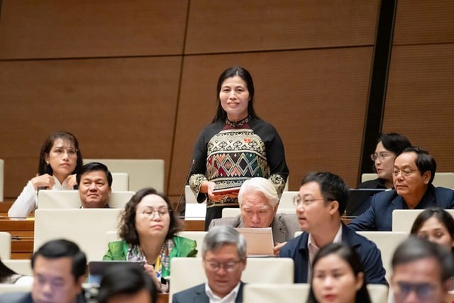 Delegados da Assembleia Nacional propõem isenção de financiamento complementar para comunas pobres e áreas frequentemente afetadas por desastres naturais - Foto 2. Đại biểu Quốc hội đề nghị miễn đối ứng với các xã nghèo, vùng thường xuyên gặp thiên tai- Ảnh 2.