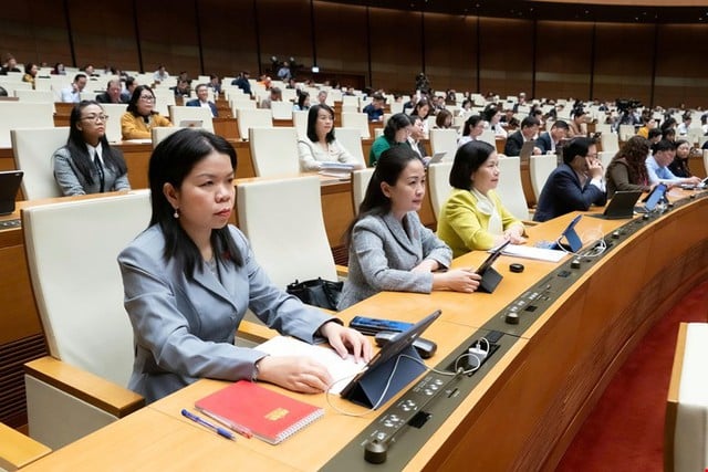 Delegados da Assembleia Nacional propõem isenção de financiamento complementar para comunas pobres e áreas frequentemente afetadas por desastres naturais - Foto 3. Đại biểu Quốc hội đề nghị miễn đối ứng với các xã nghèo, vùng thường xuyên gặp thiên tai- Ảnh 3.