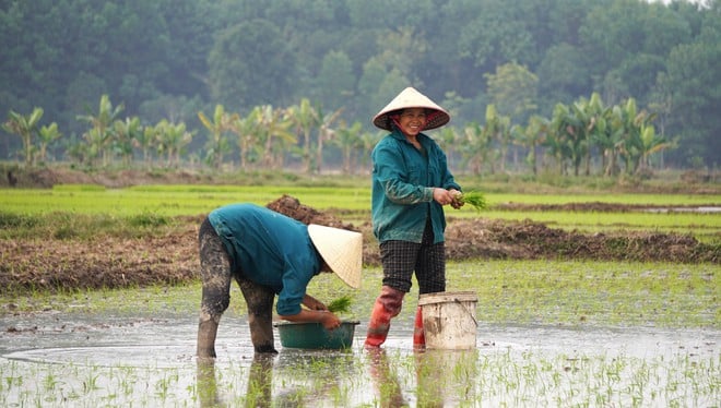 ស្វែងយល់ពីសម្រស់ស្លែរនៃបន្ទាយរាជវង្ស Ho 600 ឆ្នាំនៅ Thanh Hoa - រូបថត ៩.