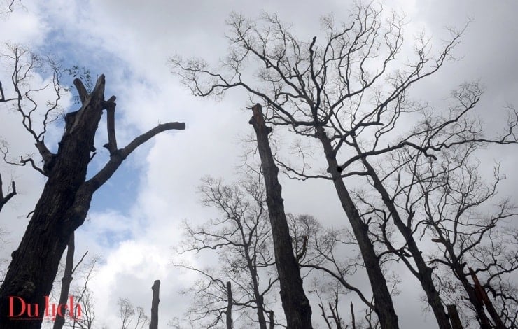 Seminário menor Lang Song em Gia Lai devastado após tempestade - 6