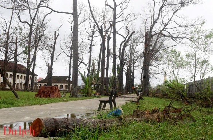 Mohával borított falak és időtől elszíneződött ablakok a Minor Szemináriumban.