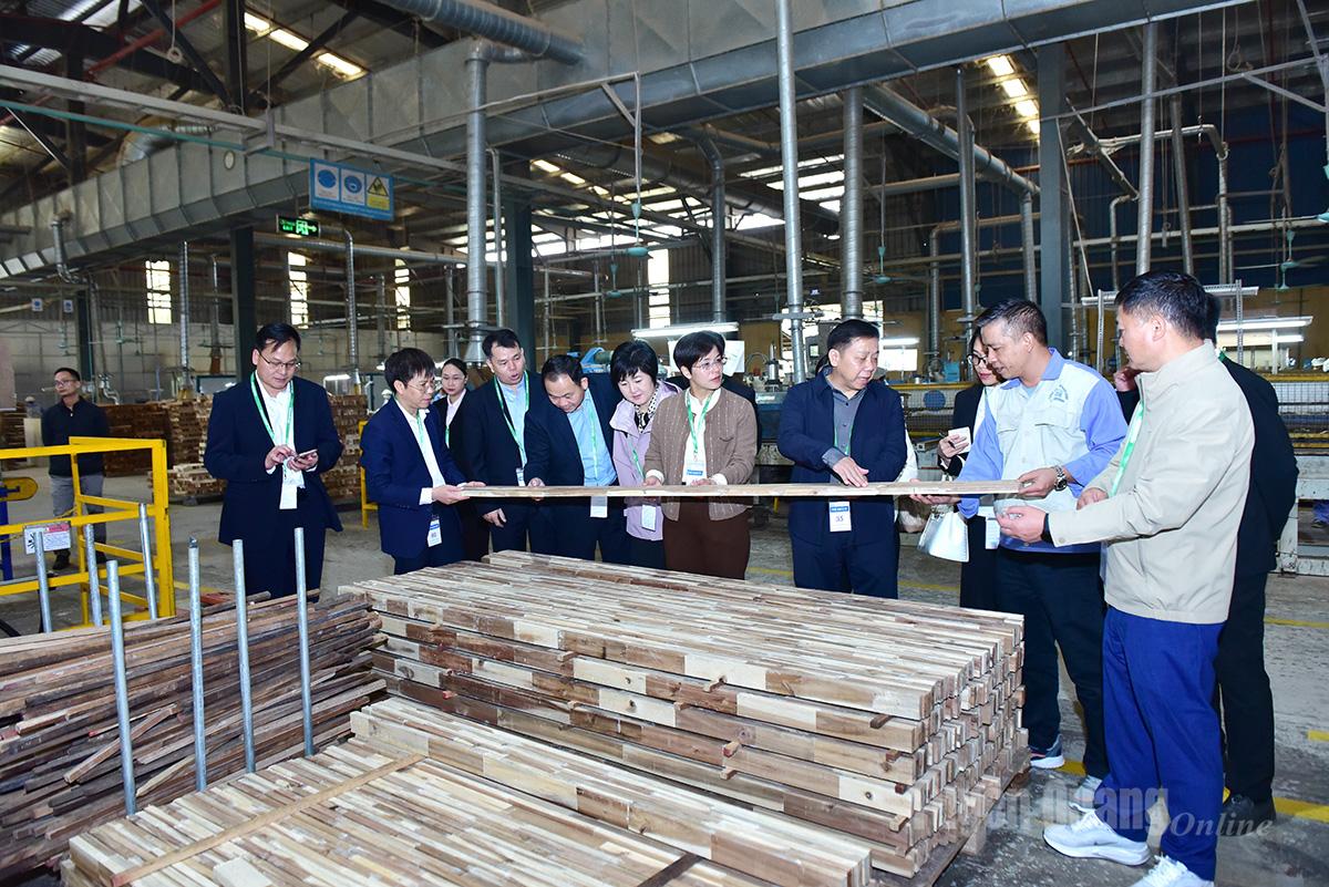 Members of the training class conducted a field survey at Woodsland Tuyen Quang Joint Stock Company (Yen Son commune).