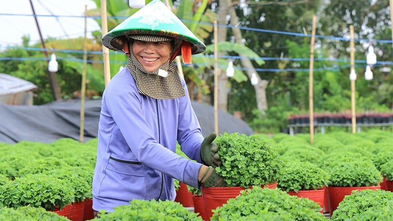 Фермери у суботу, грудня, доглядають за квітами. (Фото: Організаційний комітет)