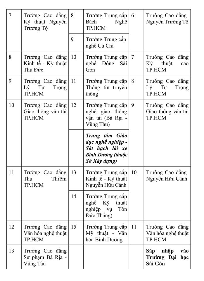 Trường cao đẳng công lập nào ở TP HCM dự kiến sẽ được giữ nguyên?  - Ảnh 3.