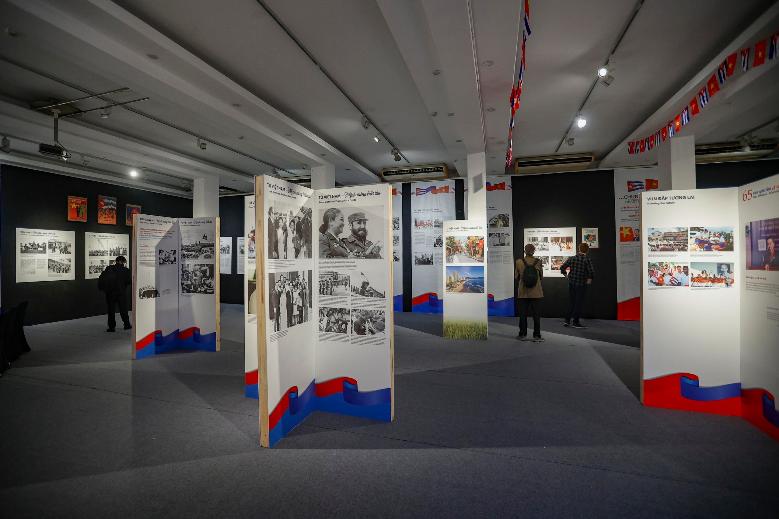 Triển lãm bức họa qúy về Chủ tịch Fidel Castro và tình hữu nghị Việt - Cuba - Ảnh 2.