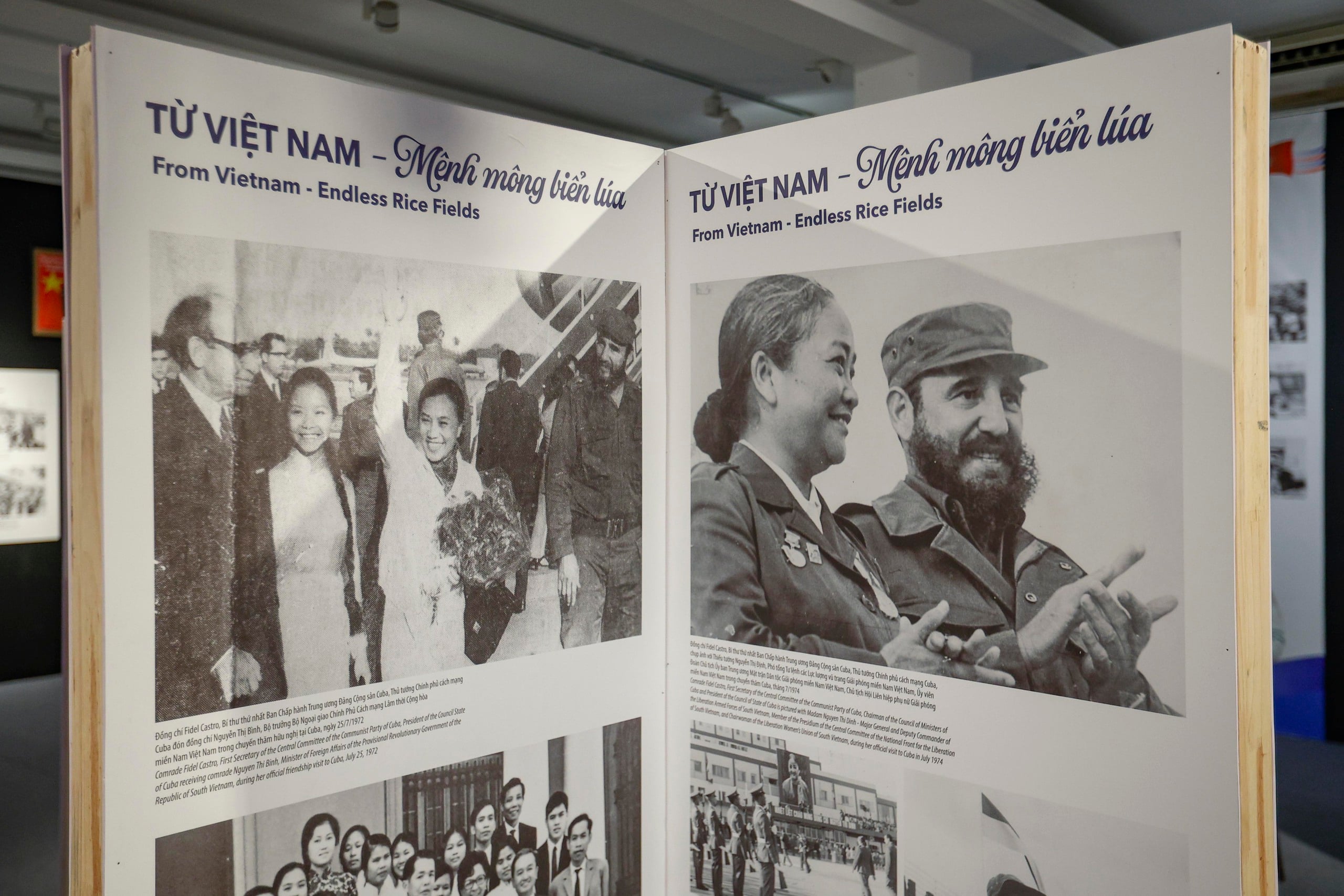 Triển lãm bức họa qúy về Chủ tịch Fidel Castro và tình hữu nghị Việt - Cuba - Ảnh 3.