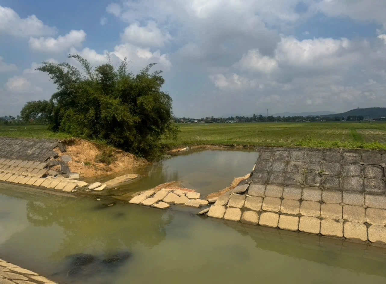 Sistema de irrigação degradado - produção agrícola 