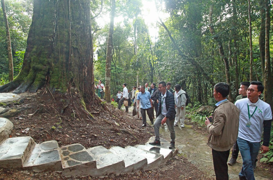 Phát triển du lịch xanh là con đường tất yếu, vì tương lai thịnh vượng, bền vững của ngành Du lịch - Ảnh 11.