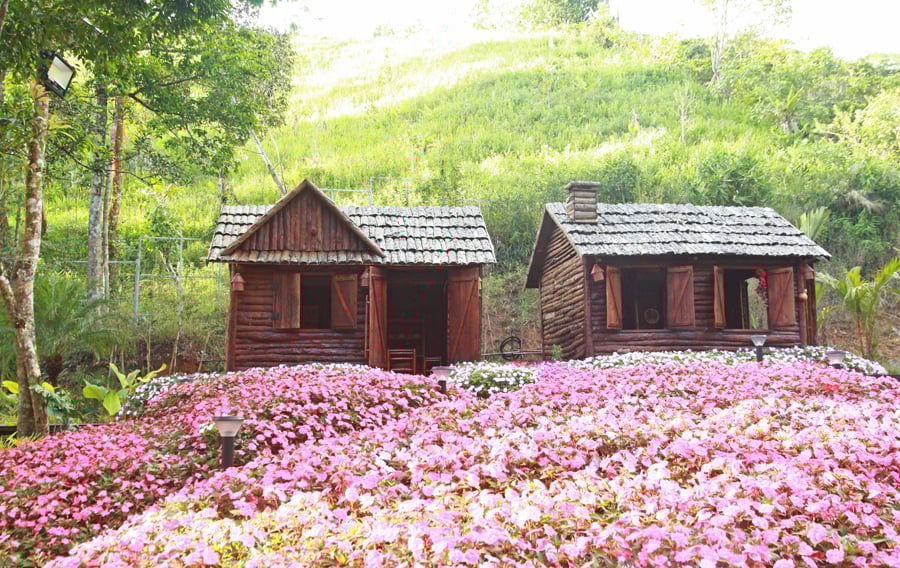 Phát triển du lịch xanh là con đường tất yếu, vì tương lai thịnh vượng, bền vững của ngành Du lịch - Ảnh 12.