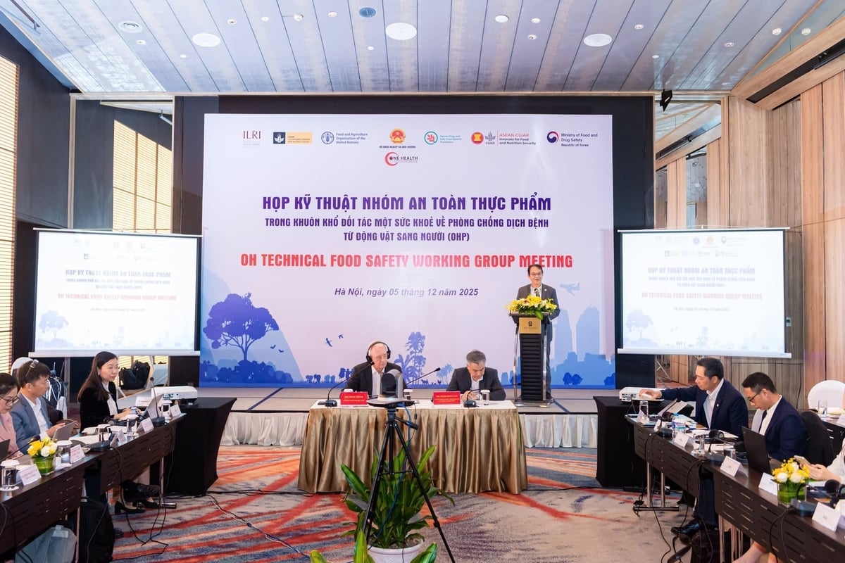 Cuộc họp lần thứ 4 của Nhóm Công tác Kỹ thuật An toàn thực phẩm (FSTWG) thuộc Đối tác Một Sức khỏe (MSK) diễn ra ngày 5/12. Ảnh: OHP.