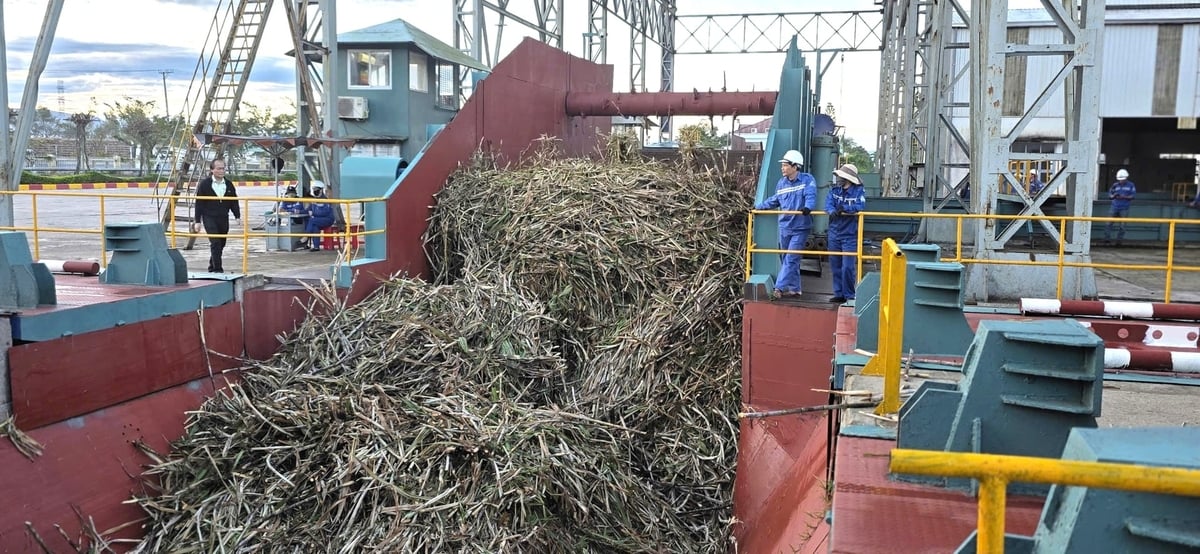 Ngày 19/12/2025 tới, Nhà máy đường An Khê sẽ khởi công xây dựng nâng công suất từ 18.000 lên 25.000/tấn mía cây/ngày. Ảnh: V.Đ.T.